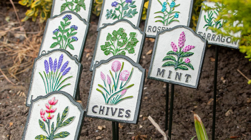 Set-of-Ten-Herb-Garden-Marker-Signs-5