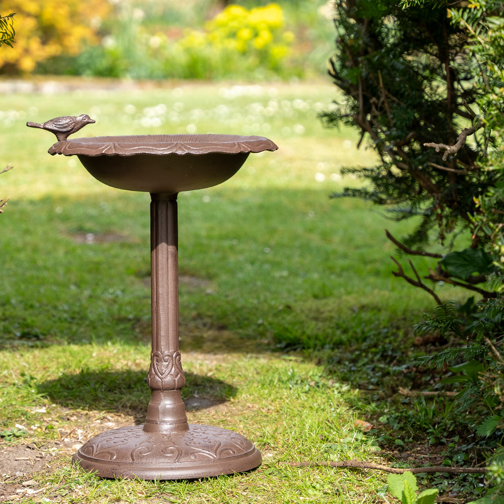 Floor Standing Bird Bath And Feeder.