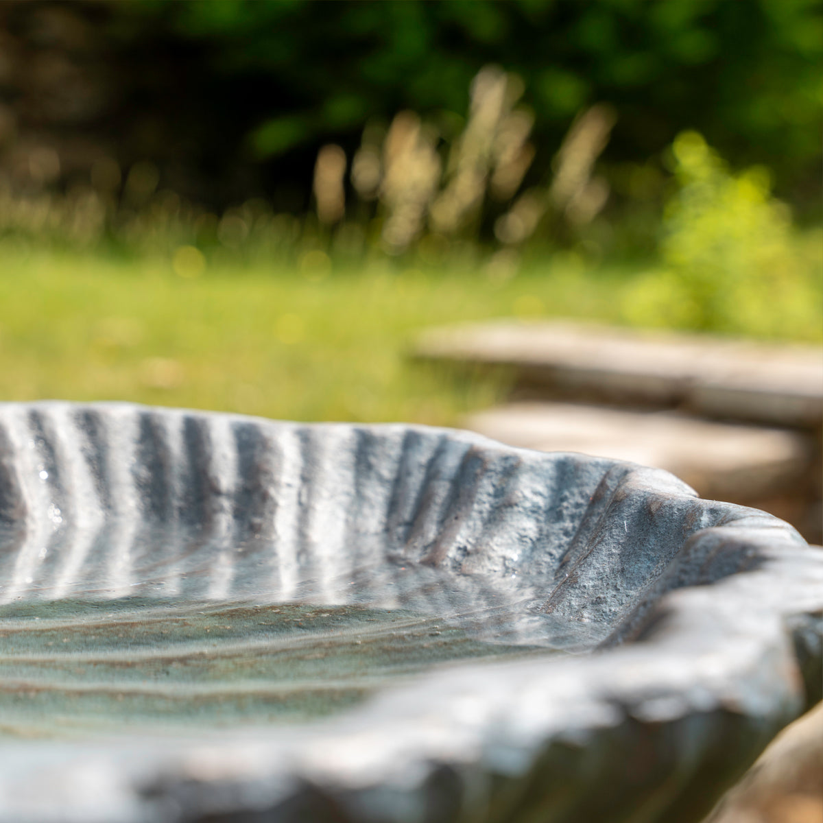 Close-up of a Iron bird bath with a blurred natural background