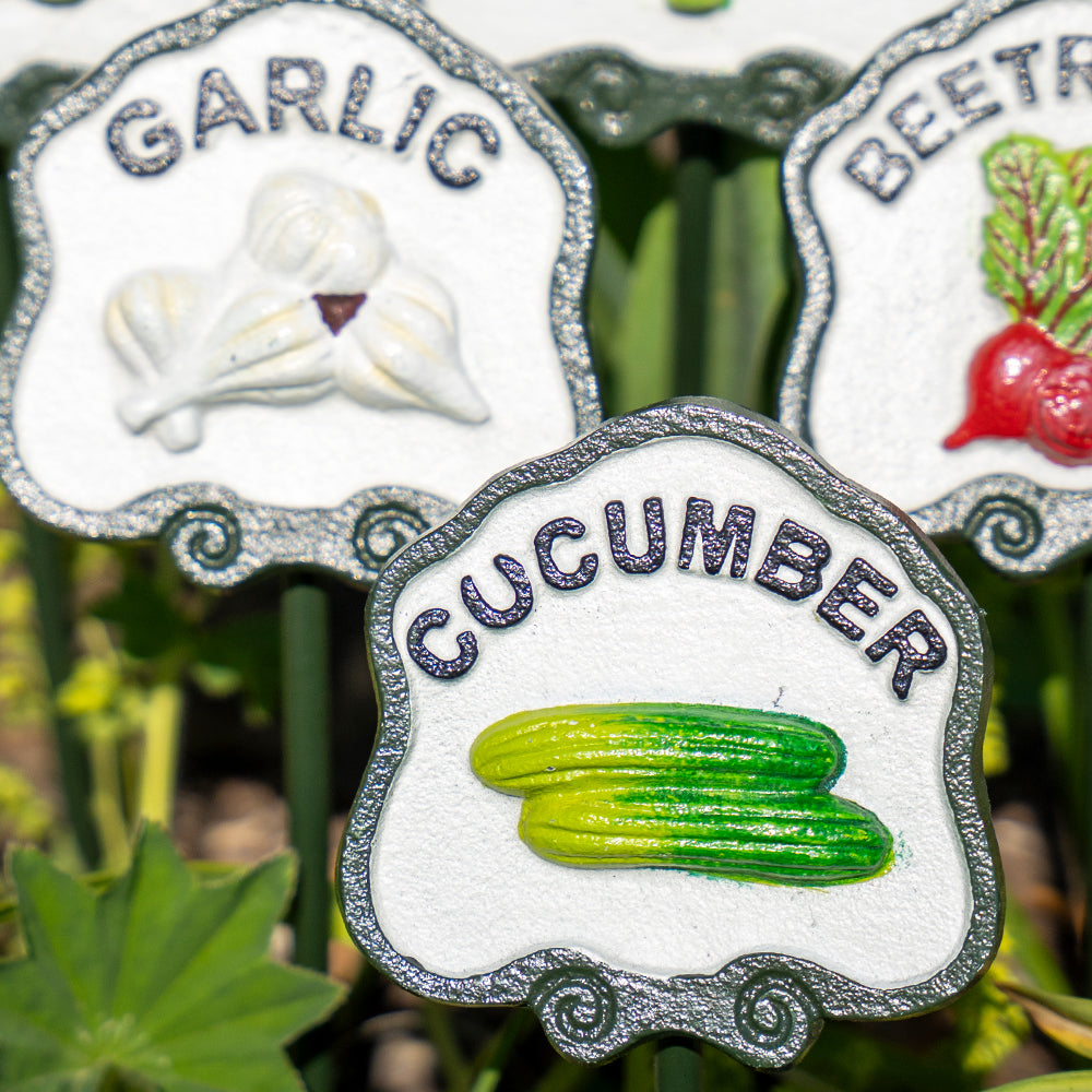 Six Vegetable Plant Markers.
