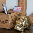 Metal Skull Ornament.