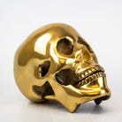 Metal Skull Ornament.