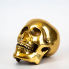 Metal Skull Ornament.