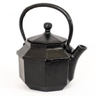 Black Cast Iron Kettle | Rustic Lantern Style.