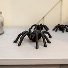 Large Wall-Mountable Cast Iron Spider.