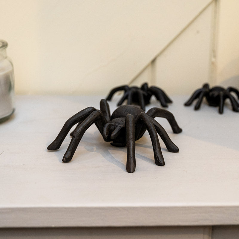 Large Wall-Mountable Cast Iron Spider.