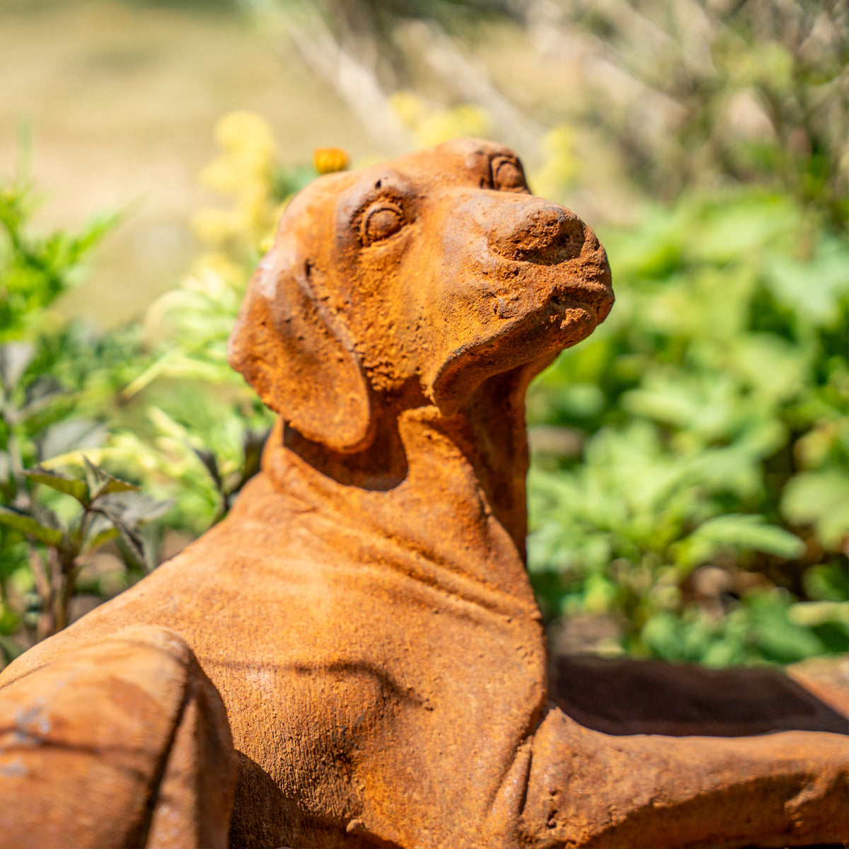 A rusted orange-brown metal dog statue in a garden setting with blurred green foliage in the background.