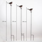 Metal Robins on Stakes Set of Three.