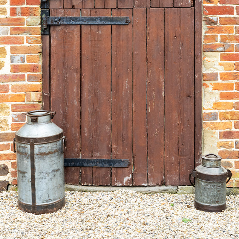 Rustic Vintage Milk Churn Planter.