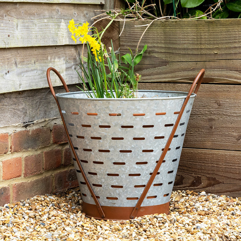 Oyster Bucket Garden Planter.
