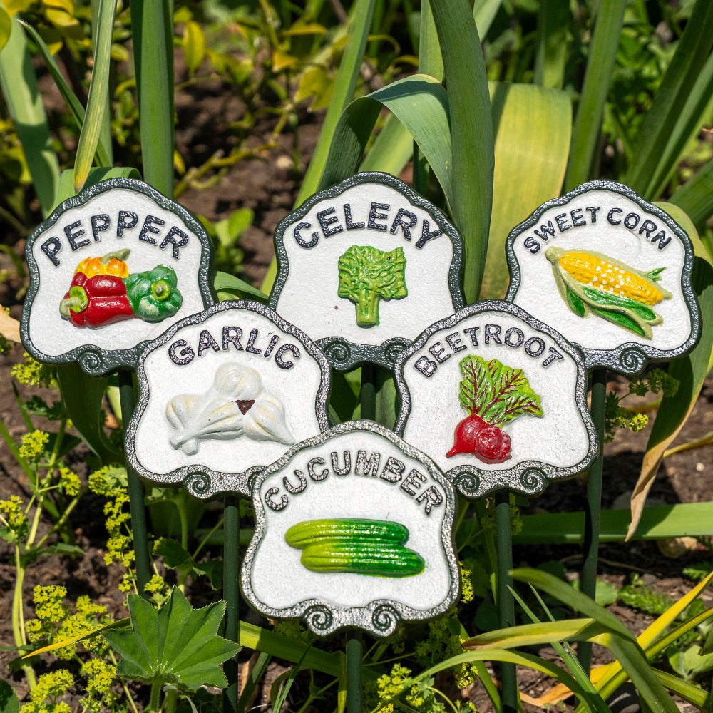Six Vegetable Plant Markers.