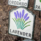 Set of Ten Herb Garden Markers.