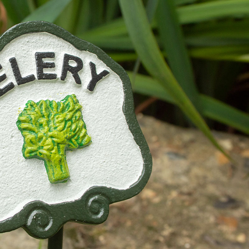 Six Vegetable Plant Markers.