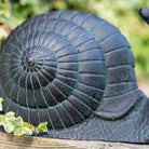 Metal Snail Garden Ornament.