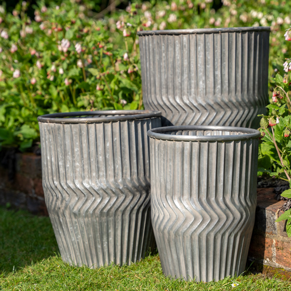 Tall Galvanised Chevron Dolly Planters.