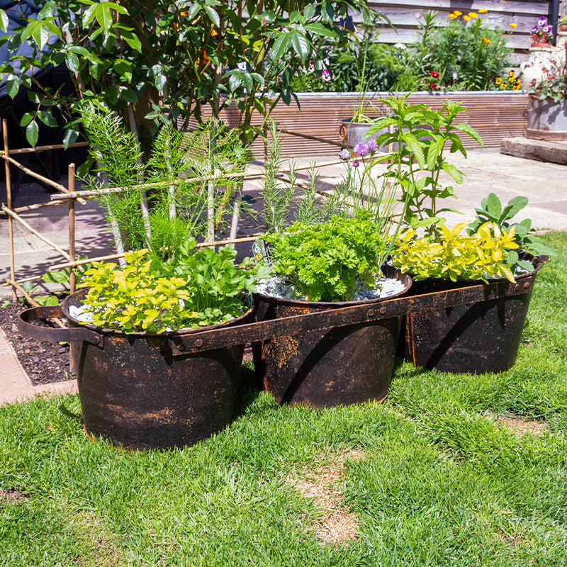 Three Connected Garden Planters.