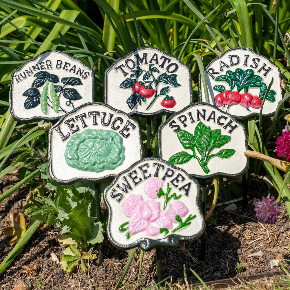 Set of Six Salad Garden Markers.
