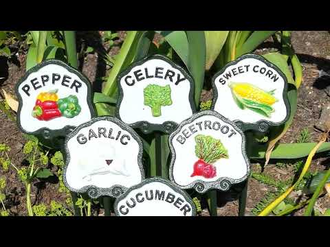 Six Vegetable Plant Markers.