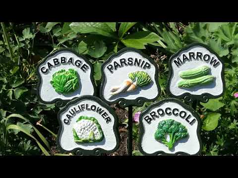 Six Vegetable Plant Signs.