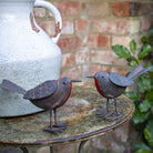 Pair of Metal Tin Robins.