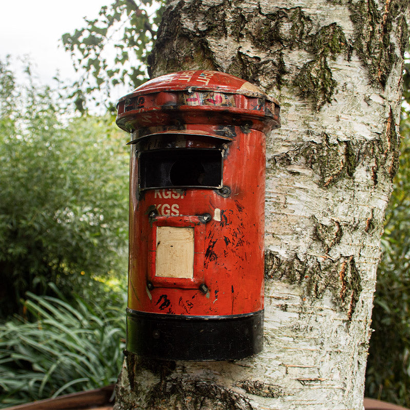 British Pillar Post Box Bird House Box – Forge & Foundry Limited