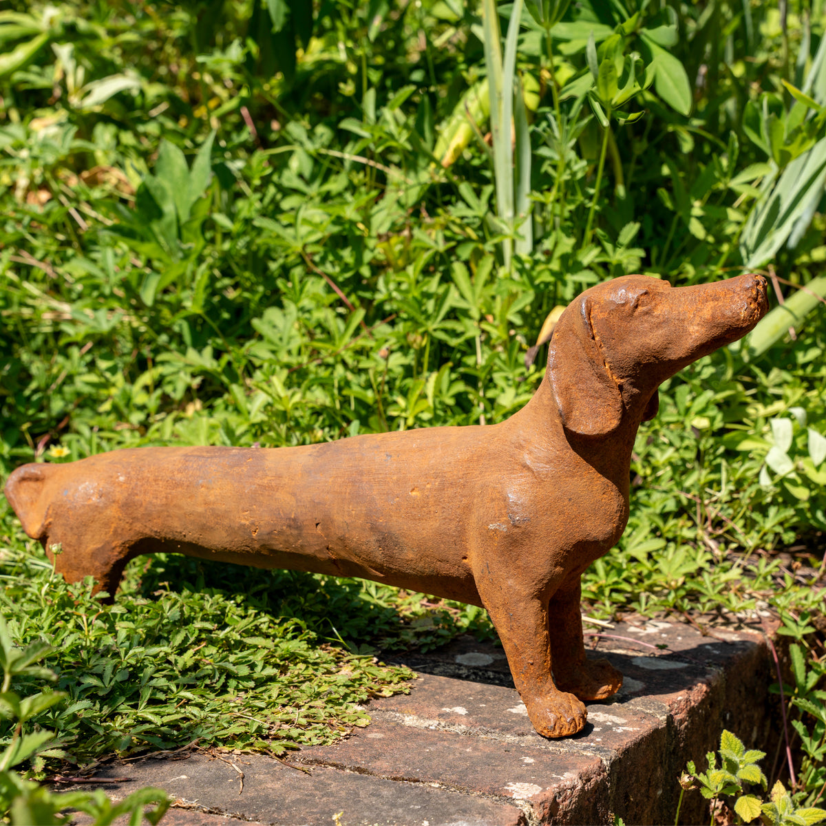 A rusted brown metal dachshund dog statue standing on a stone path surrounded by lush green garden foliage.