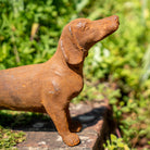 A rusted metal dachshund dog statue standing on a stone ledge with a blurred green garden background.