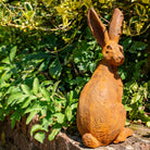 A terracotta coloured hare garden statue with a textured, rustic finish, shown sitting on a stone ledge surrounded by lush green garden foliage.