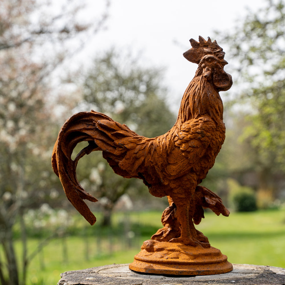 Outdoor Décor Cockerel Statue