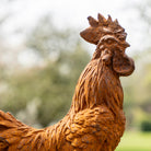 Outdoor Décor Cockerel Statue - Forge & Foundry Limited
