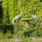 Two metal Crane sculptures in a garden setting with a bird bath.