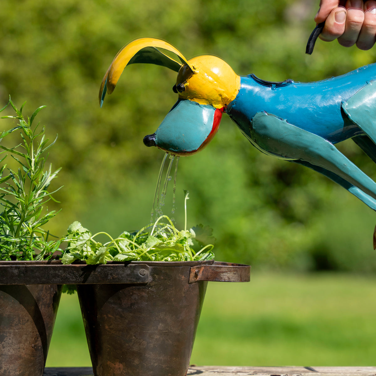 dog shaped watering can watering plants in a garden setting