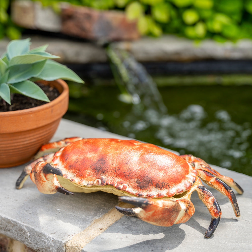 Red crab on a stone surface with a garden background