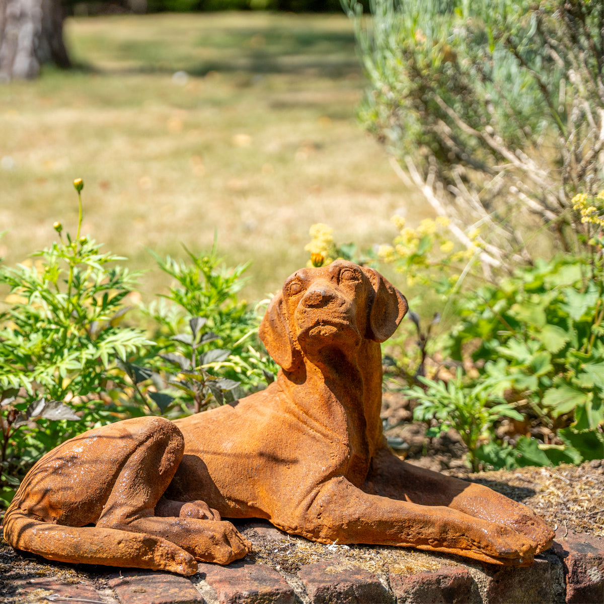 A rusted brown metal garden statue of a lying dog, displayed outdoors on a stone surface with green garden foliage and grass in the background.