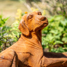 A rusted orange-brown metal dog statue in a garden setting with blurred green foliage in the background.