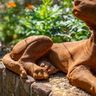 A Rusty Dog garden statue lying down, positioned on a stone ledge with a blurred green garden background.