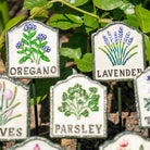 Set of Ten Herb Garden Markers - Forge & Foundry Limited