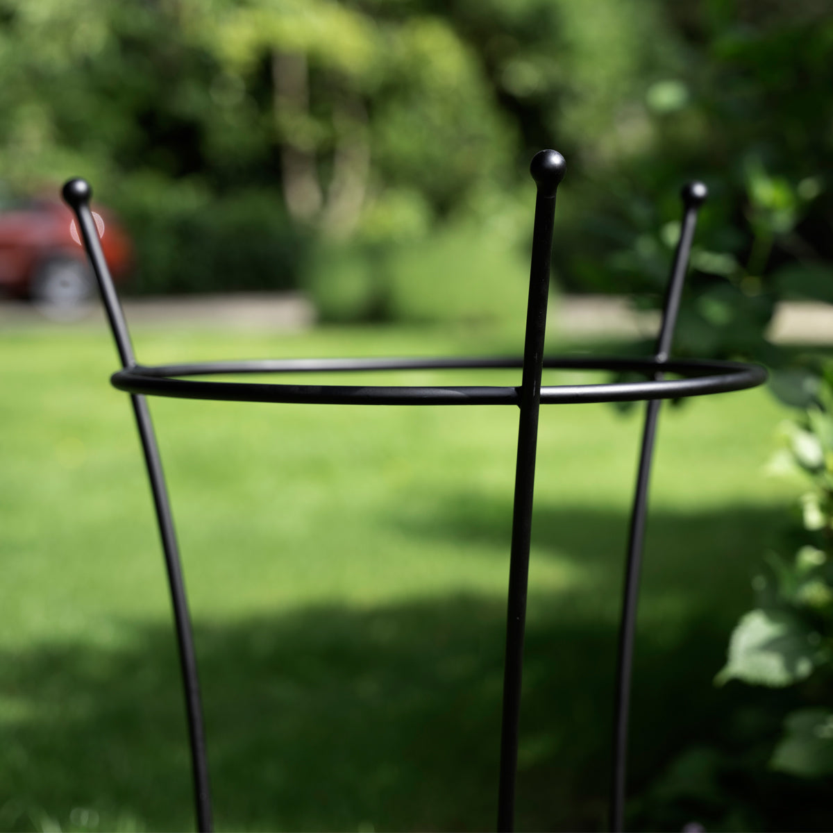 Black metal plant stand on a grassy background