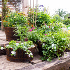 Set of Three Metal Garden Planters