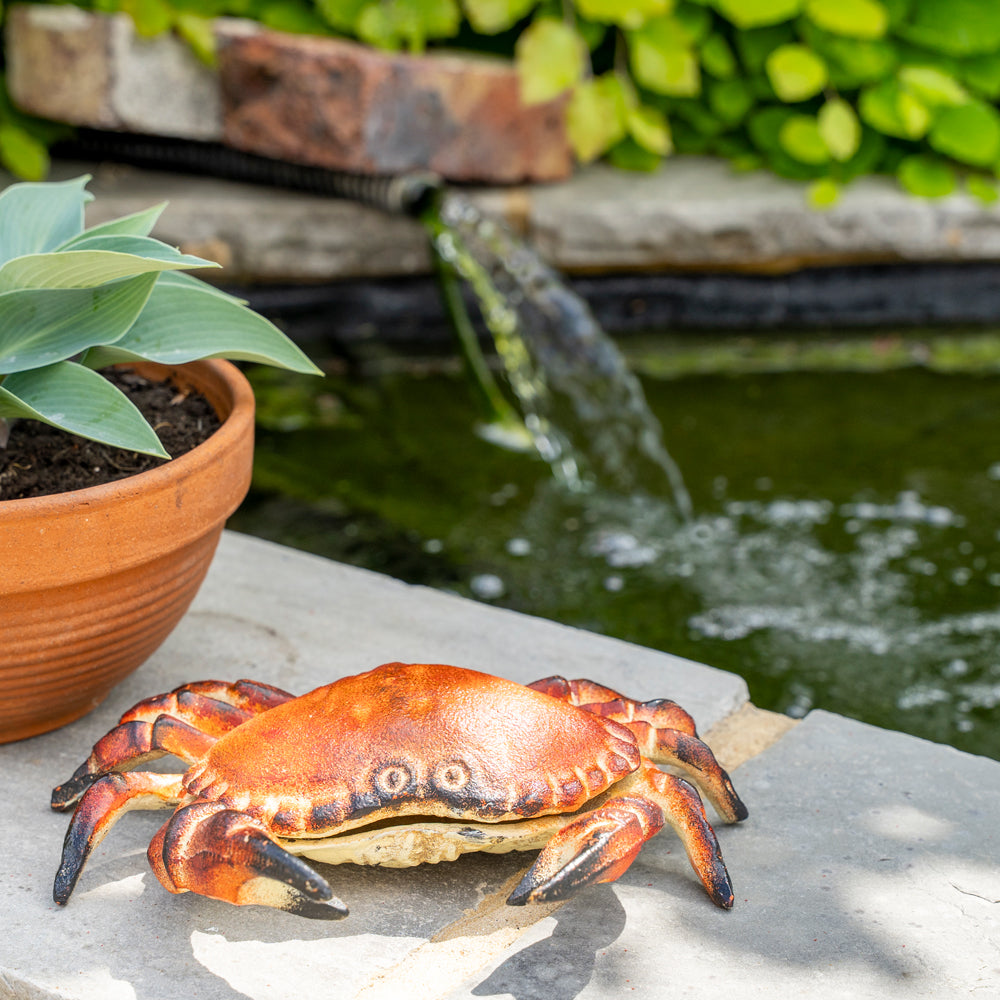 Realistic crab on a stone ledge with a pond and plant in the background