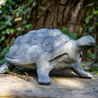 Turtle Garden Ornament