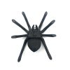 Large Wall-Mountable Cast Iron Spider