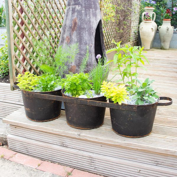 Three Connected Garden Planters