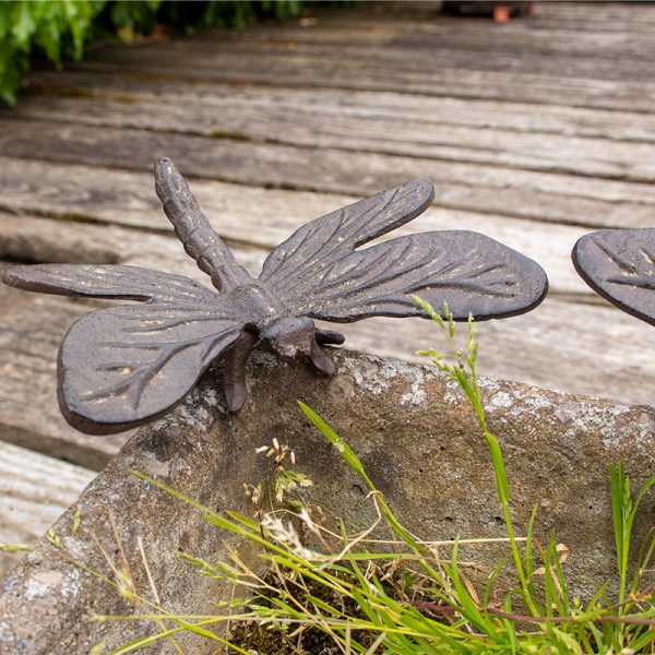 Pair OF Dragonflies