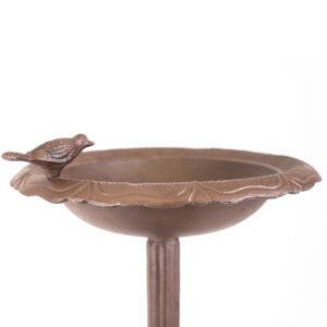 Floor Standing Bird Bath And Feeder